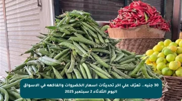 30 جنيه.. تعرّف على آخر تحديثات أسعار الخضروات والفاكهة في الأسواق اليوم الثلاثاء 2 سبتمبر 2025